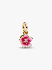 img.svg
