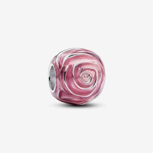 pink-rose-in-bloom-charm